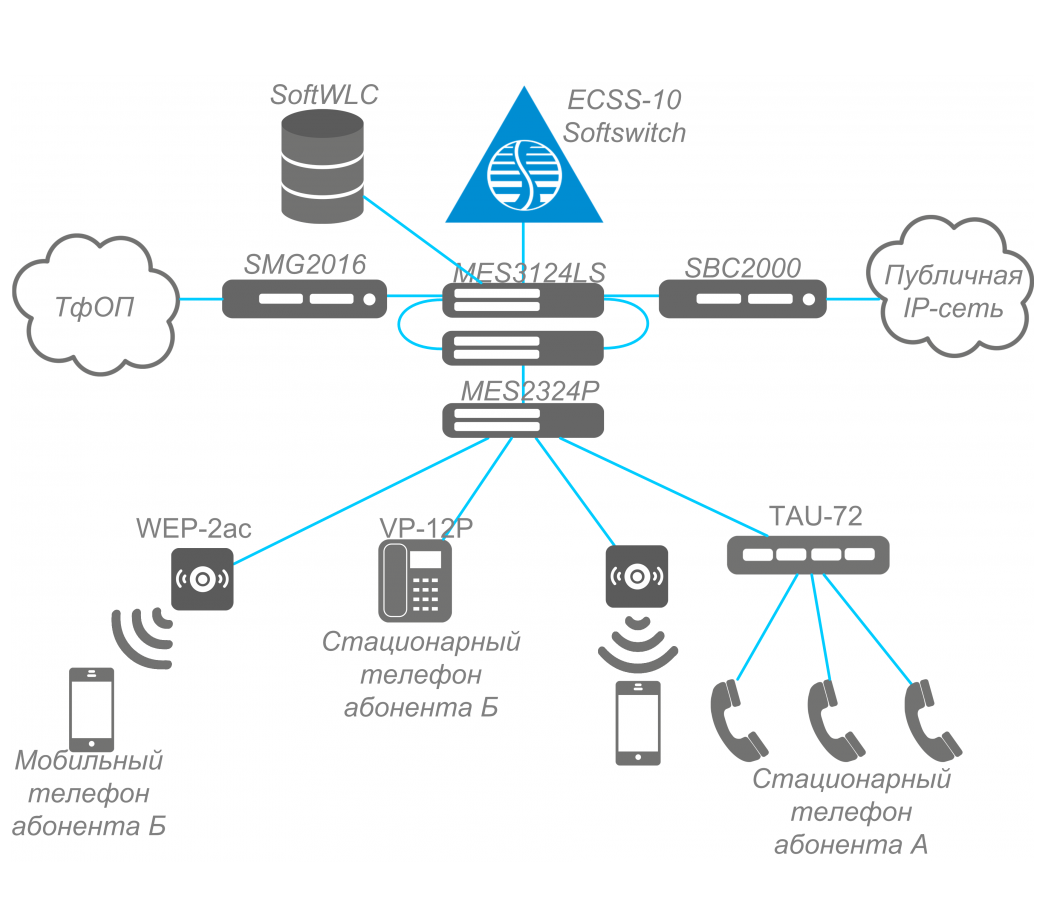 Публичные сети. АТС ЭЛТЕКС ECSS-10. Схема сети VOIP. Схема организации IP телефонии ECSS-10. Схема IP телефонии SMG.